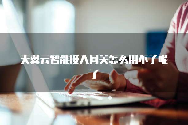 天翼云智能接入网关怎么用不了呢了