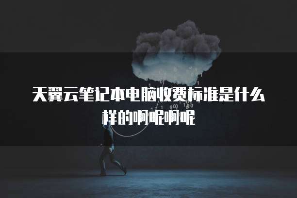 天翼云笔记本电脑收费标准是什么样的啊呢啊呢