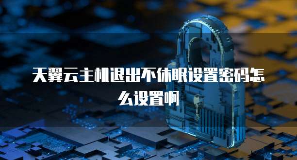 天翼云主机退出不休眠设置密码怎么设置啊