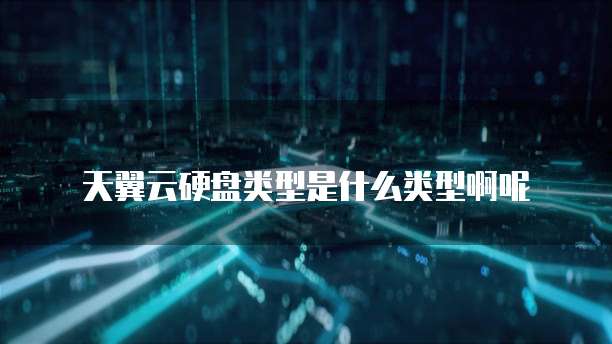 天翼云硬盘类型是什么类型啊呢