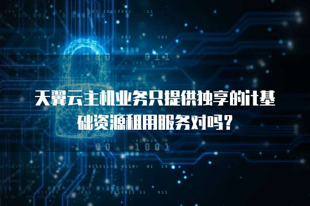 天翼云主机业务只提供独享的it基础资源租用服务对吗?