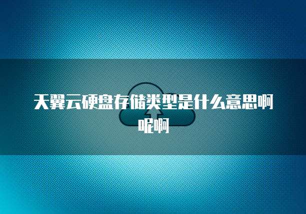 天翼云硬盘存储类型是什么意思啊呢啊