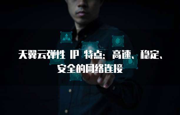 天翼云弹性 IP 特点:高速、稳定、安全的网络连接