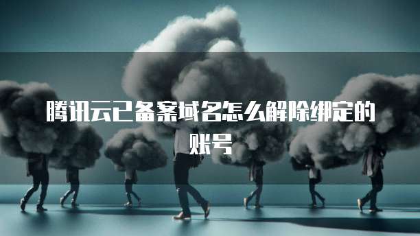 天翼云DNS代理是什么版本?