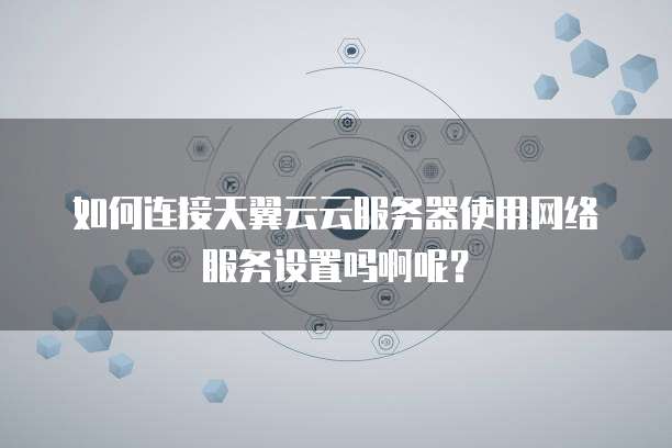 如何连接天翼云云服务器使用网络服务设置吗啊呢？