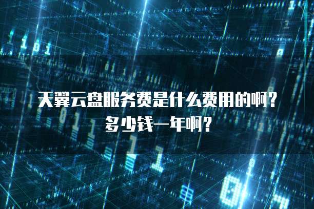 天翼云盘服务费是什么费用的啊?多少钱一年啊?