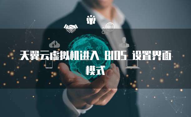 天翼云虚拟机进入 BIOS 设置界面模式