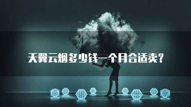 天翼云烟多少钱一个月合适卖?