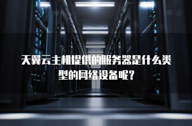天翼云主机提供的服务器是什么类型的网络设备呢？