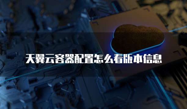 天翼云容器配置怎么看版本信息