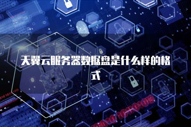 天翼云服务器数据盘是什么样的格式