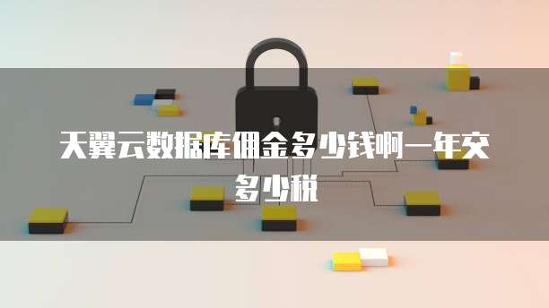 天翼云数据库佣金多少钱啊一年交多少税