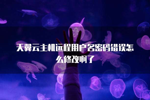 天翼云主机远程用户名密码错误怎么修改啊了