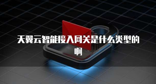 天翼云智能接入网关是什么类型的啊