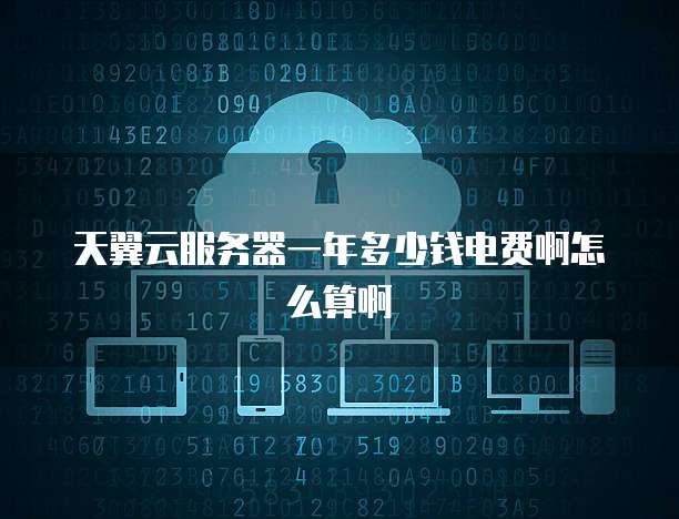 天翼云服务器一年多少钱电费啊怎么算啊