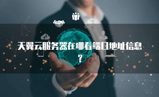 天翼云服务器在哪看端口地址信息?