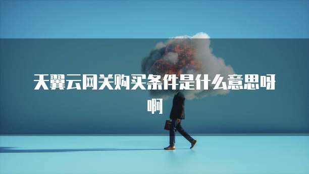 天翼云网关购买条件是什么意思呀啊