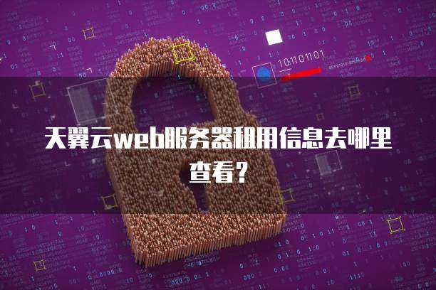 天翼云web服务器租用信息去哪里查看?