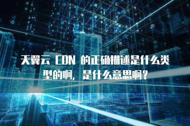 天翼云 CDN 的正确描述是什么类型的啊,是什么意思啊?