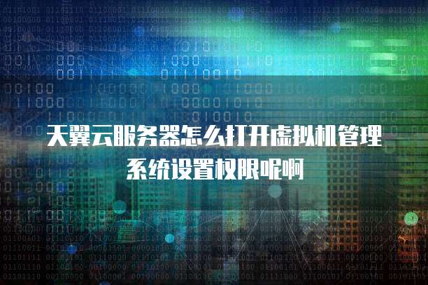天翼云服务器怎么打开虚拟机管理系统设置权限呢啊