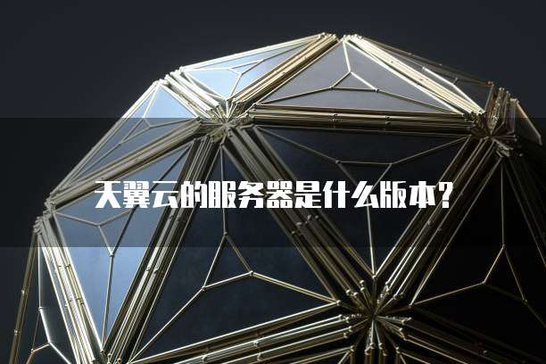 天翼云的服务器是什么版本?
