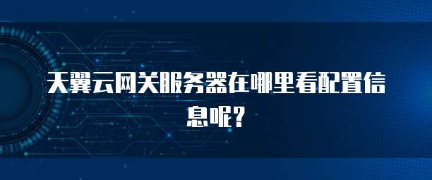 天翼云网关服务器在哪里看配置信息呢?