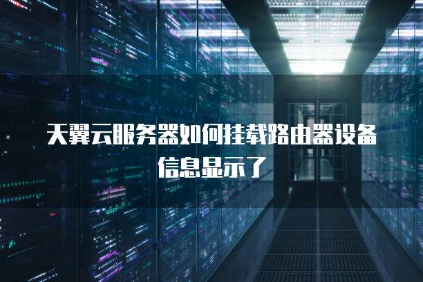 天翼云服务器如何挂载路由器设备信息显示了