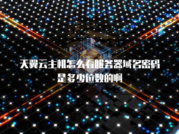 天翼云主机怎么看服务器域名密码是多少位数的啊