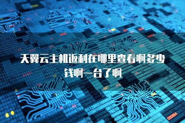 天翼云主机返利在哪里查看啊多少钱啊一台了啊