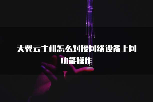 天翼云主机怎么对接网络设备上网功能操作