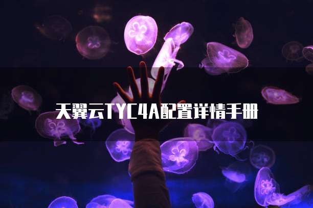天翼云TYC4A配置详情手册