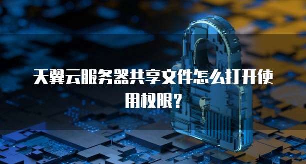 天翼云服务器共享文件怎么打开使用权限?
