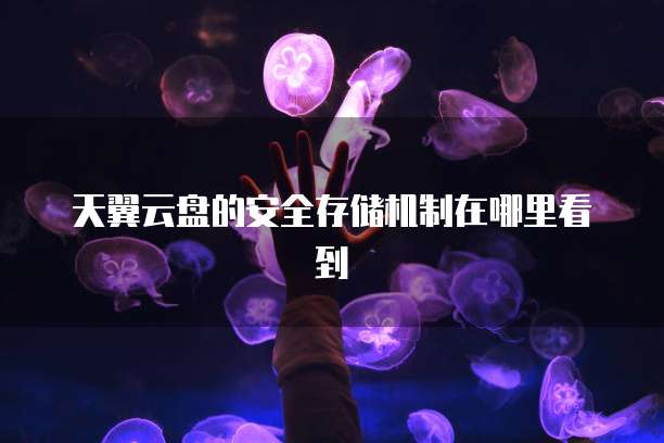 天翼云盘的安全存储机制在哪里看到