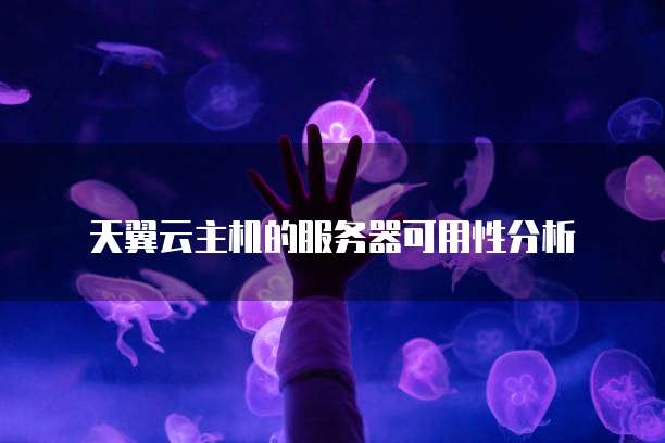 天翼云主机的服务器可用性分析