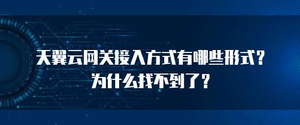 天翼云网关接入方式有哪些形式?为什么找不到了?