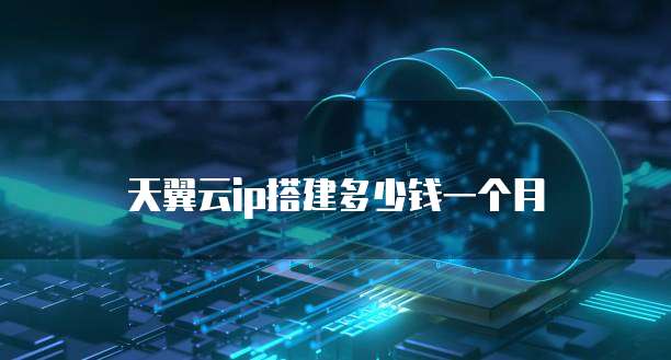 天翼云ip搭建多少钱一个月