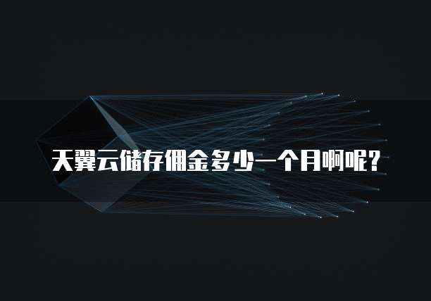 天翼云储存佣金多少一个月啊呢?