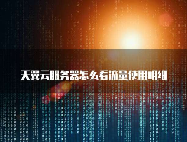 天翼云服务器怎么看流量使用明细