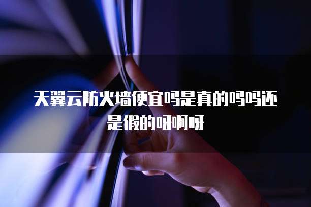 天翼云防火墙便宜吗是真的吗吗还是假的呀啊呀