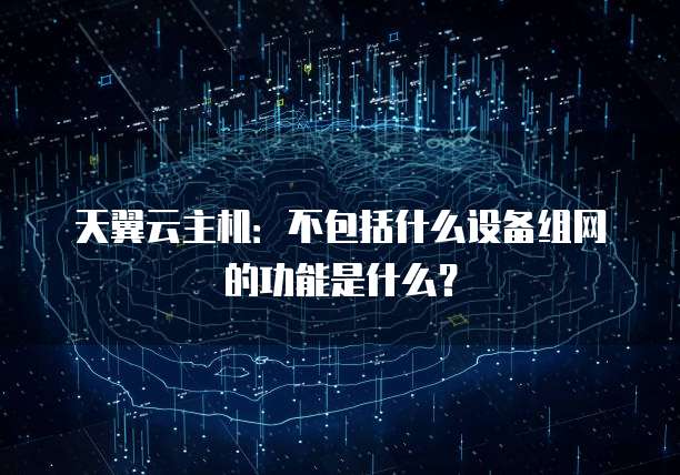 天翼云主机:不包括什么设备组网的功能是什么?