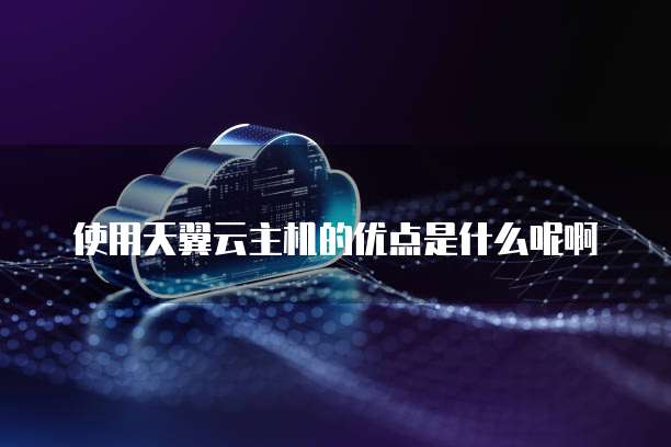 使用天翼云主机的优点是什么呢啊