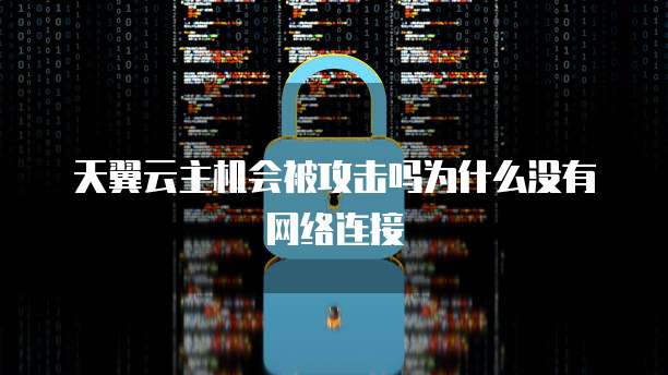 天翼云主机会被攻击吗为什么没有网络连接