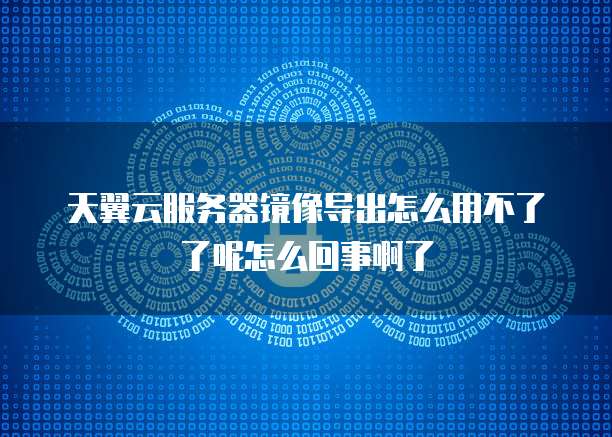天翼云服务器镜像导出怎么用不了了呢怎么回事啊了