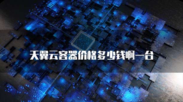 天翼云容器价格多少钱啊一台