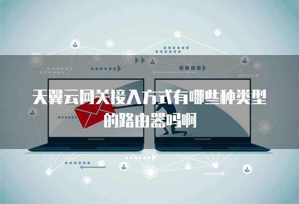 天翼云网关接入方式有哪些种类型的路由器吗啊