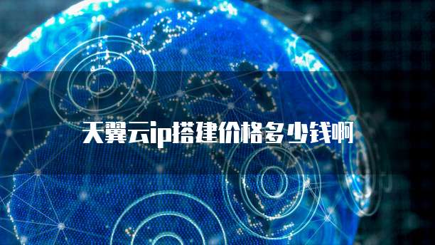 天翼云ip搭建价格多少钱啊