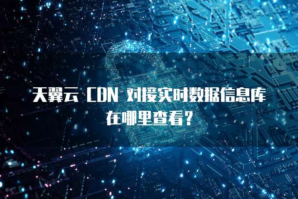 天翼云 CDN 对接实时数据信息库在哪里查看？