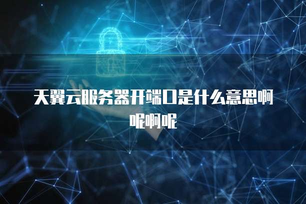 天翼云服务器开端口是什么意思啊呢啊呢
