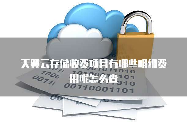 天翼云存储收费项目有哪些明细费用呢怎么查