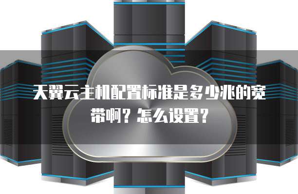 天翼云主机配置标准是多少兆的宽带啊?怎么设置?